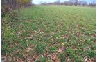 Property photo 26 - 80 Acres & Home - Property Offered in 4 Tracts from 2.3 to 30.0 Acres